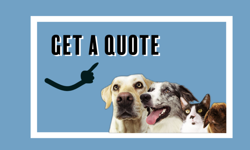 pet insurance quote button